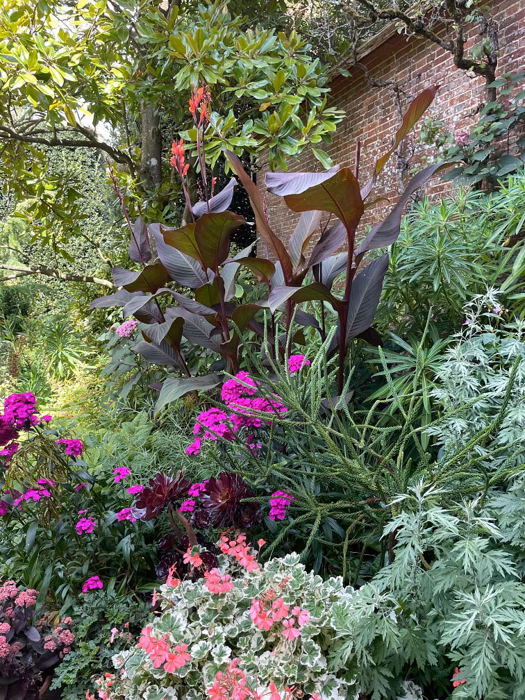 just when you thought it was all over, a lush garden bursts to life with dense green foliage, vibrant pink and magenta flowers, tall canna lilies ablaze with red blooms, and sunlight filtering through branches against a brick wall.