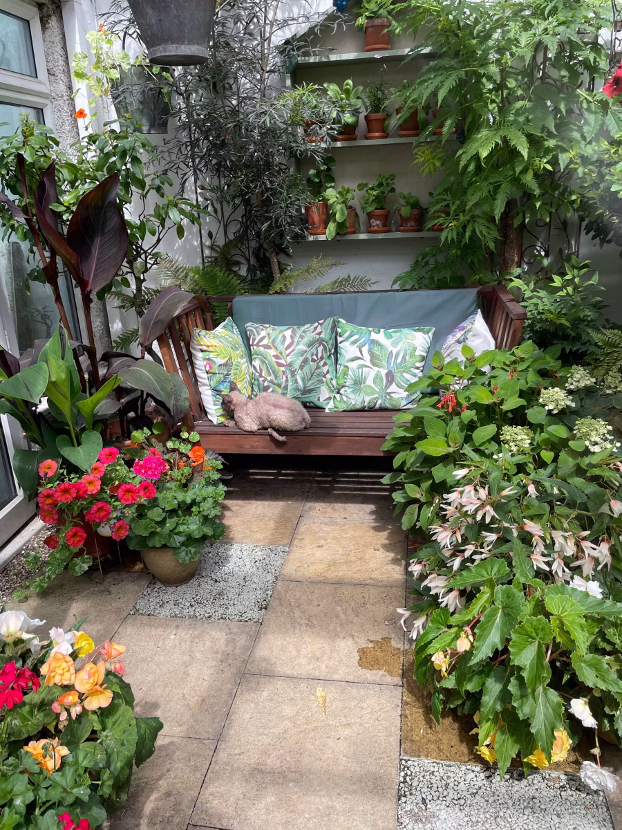 Blooming with Intent: 2026's Green Revolution A cozy wooden bench with leafy-patterned cushions and a stuffed animal sits in a lush garden corner. Colorful potted flowers and large green plants reflect the Blooming with Intent spirit, creating a peaceful, vibrant atmosphere.