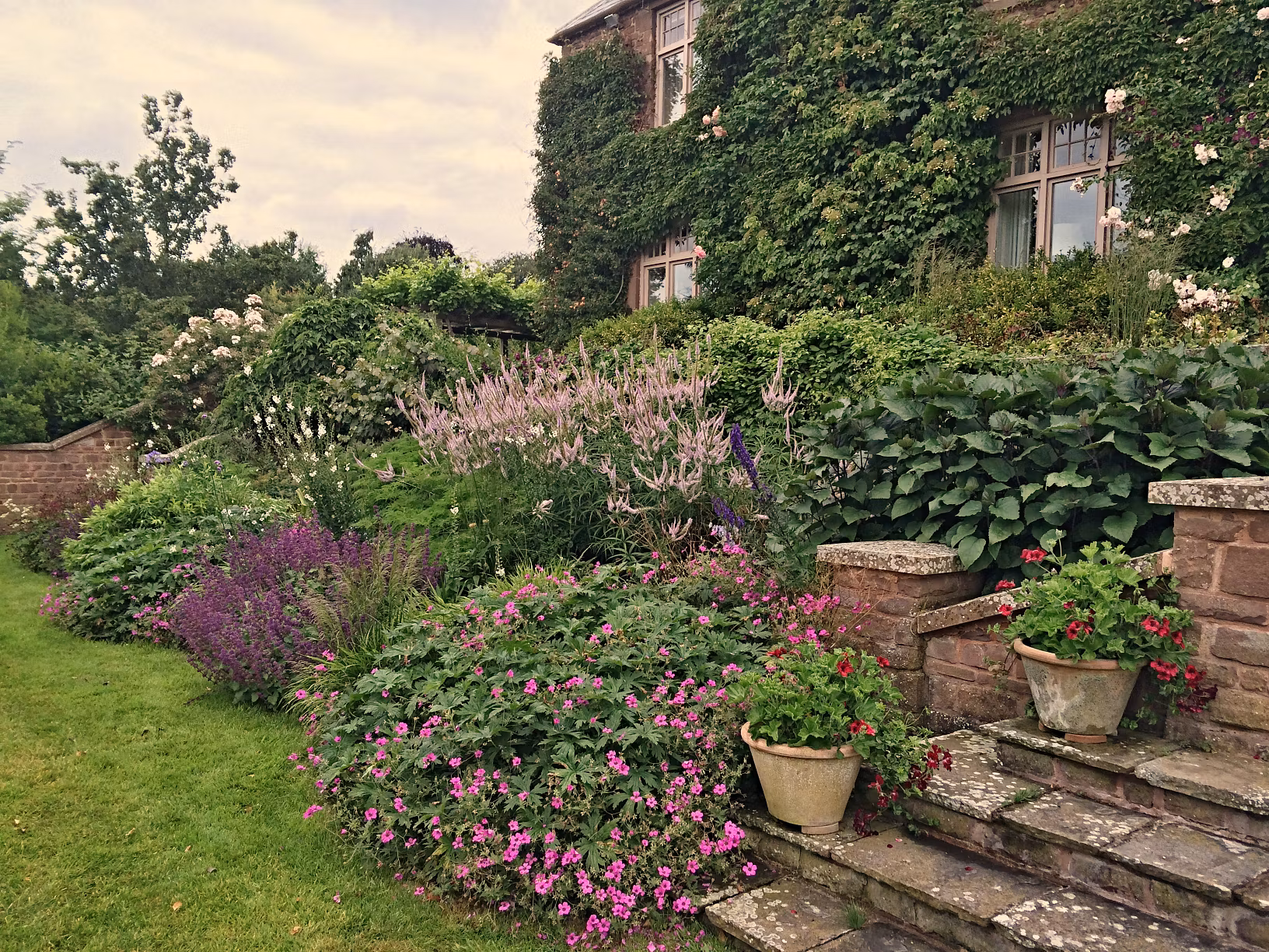 A lush garden borders stone steps leading to a house partly covered in ivy. Blooming with Intent, vibrant pink, purple, and white flowers fill the beds. Two potted plants rest on the steps, and the green lawn is neatly trimmed under a cloudy 2026 sky.
